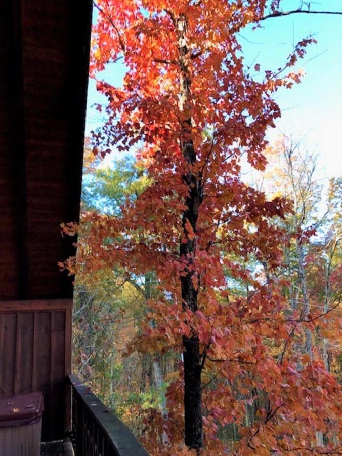 Holiday home Knotty By Nature Gatlinburg