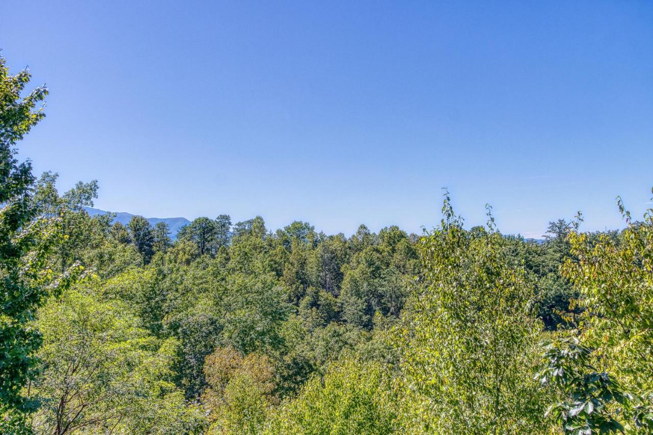 Bear View * Gatlinburg