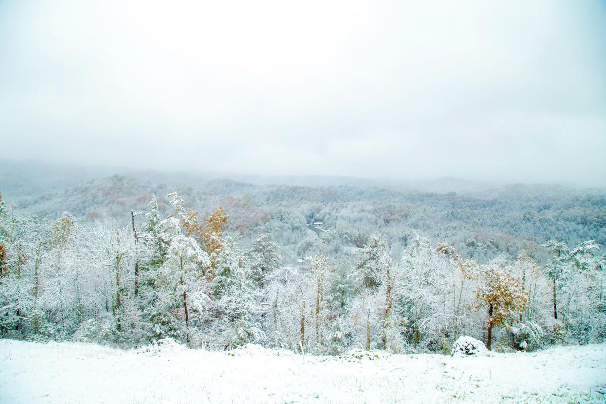 Leconte Mountain Breeze * Gatlinburg