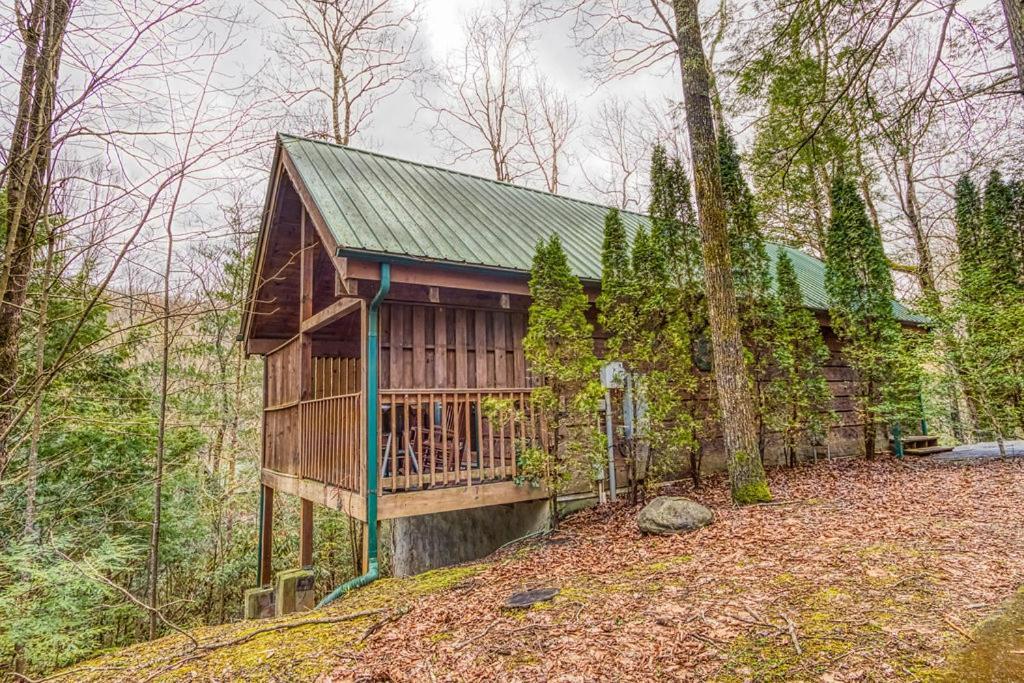 Mountain Eden, Hot Tub, Pool, Wifi, 1089 Free Tickets Each Paid Day, Dollywood And *