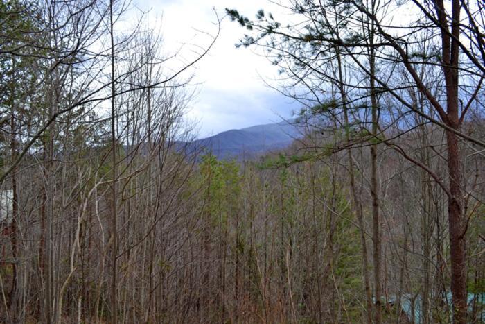 Lost In Gatlinburg