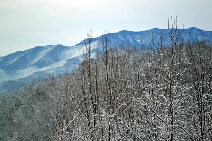 Holiday home Mountain High Gatlinburg