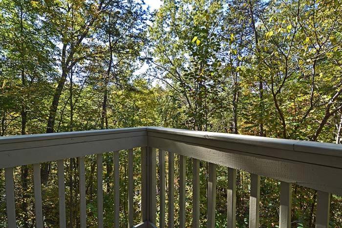 Smoky Mountain Dream *