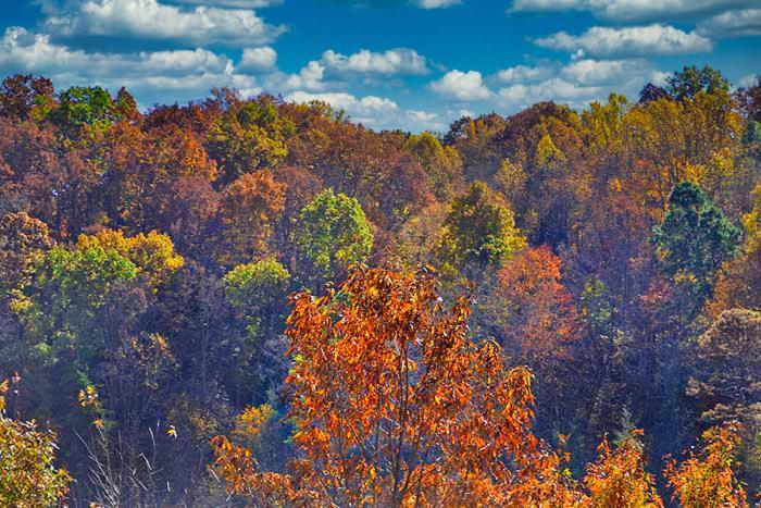 Mountain View Paradise * Gatlinburg