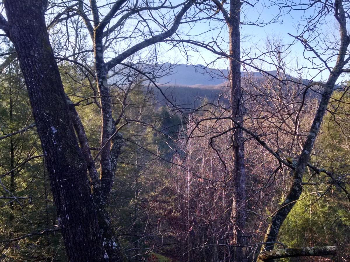 Log Inn, 5 Bed 3 Bath Group In With Game And Hot Tub, Seasonal Pool Holiday home