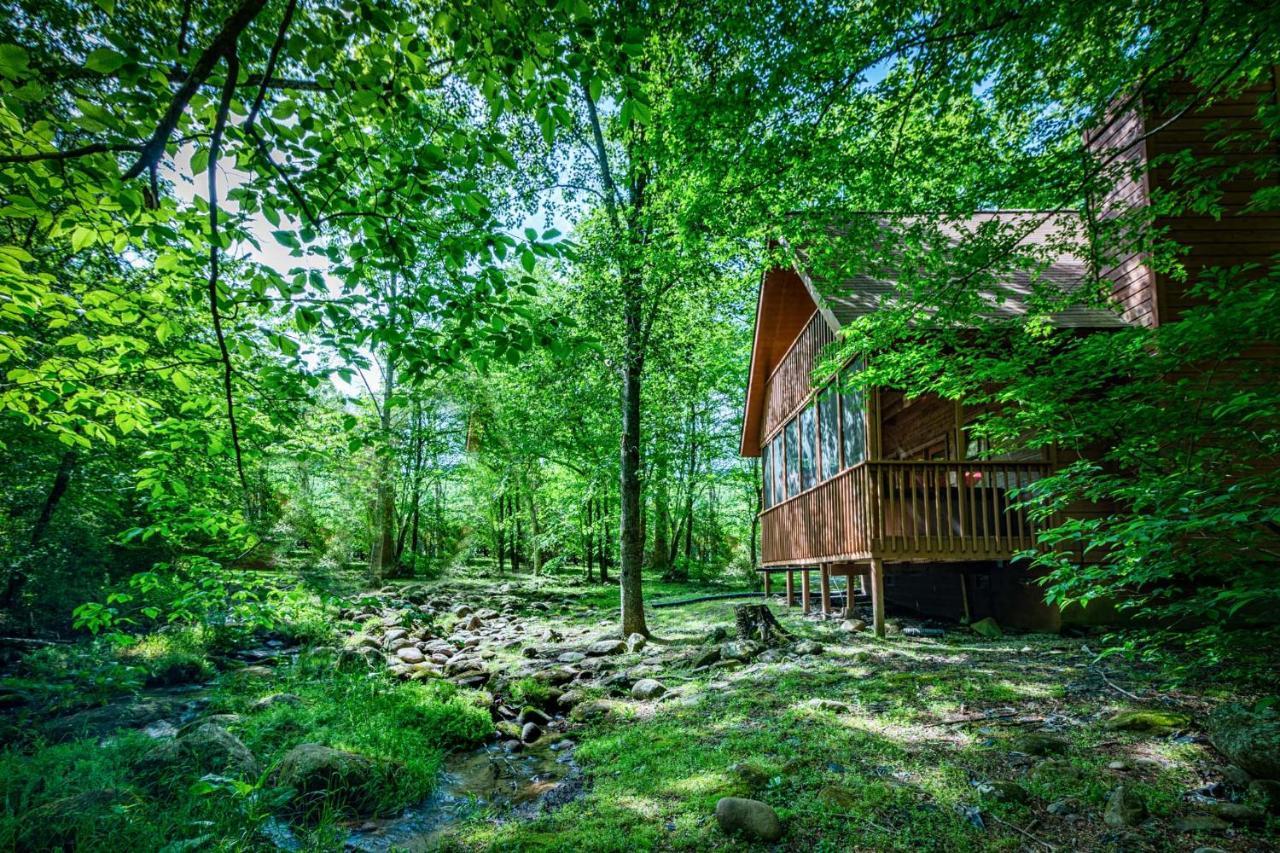 Bear Footin' On The Creek Holiday home