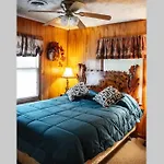 Beary Wild Cabin In The Smokies