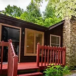 Beary Wild Cabin In The Smokies