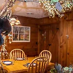 Beary Wild Cabin In The Smokies