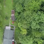 Beary Wild Cabin In The Smokies