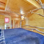 Leconte Views Cabin