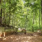Serene Forest View- Hot Tub- Pet Friendly With Fenced Yard