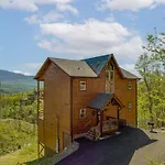 A Bear\'S Gatlinburg Plunge