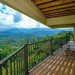 Falcons View