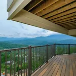 Falcons View