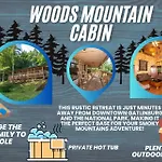 Woods Mountain Cabin