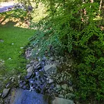 Bear Creek 167