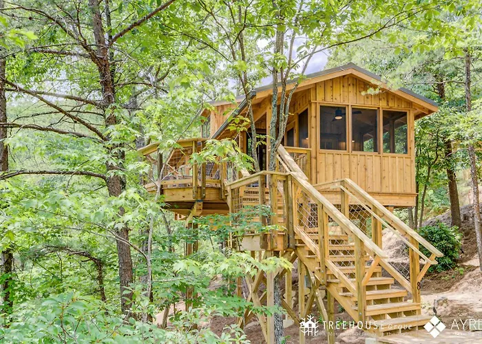 The Cottonwood In Treehouse Grove At Norton Creek