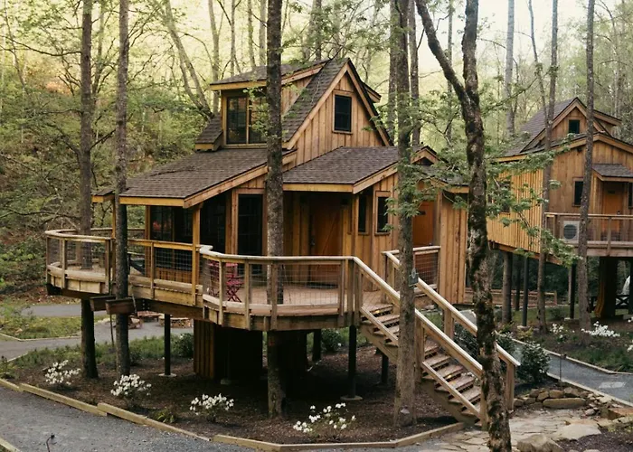 The Poplar In Treehouse Grove At Norton Creek