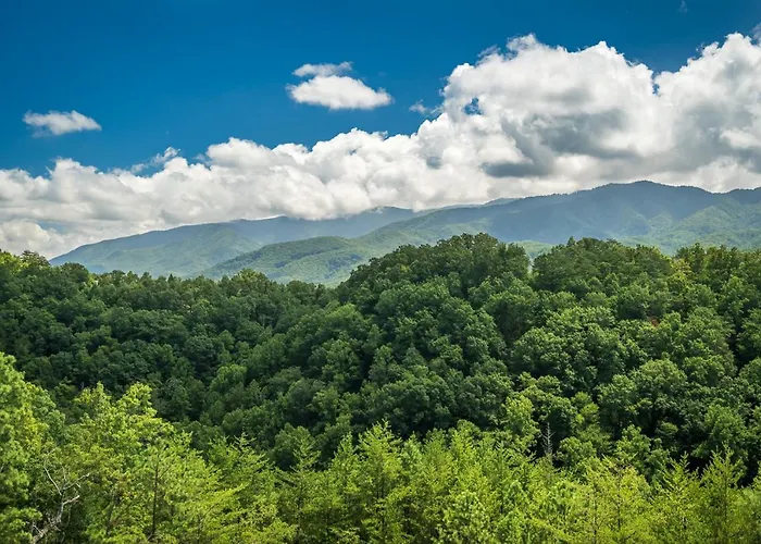 The Perfect Tenn By Stony Brook Cabins
