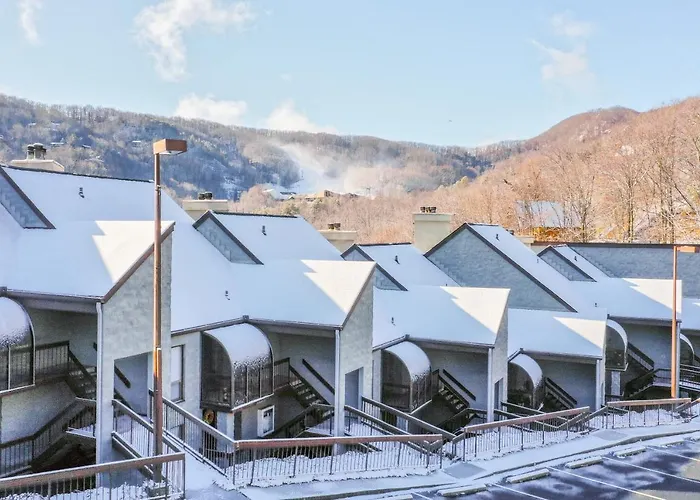 Alpine Condo & Cozy Bear Condo