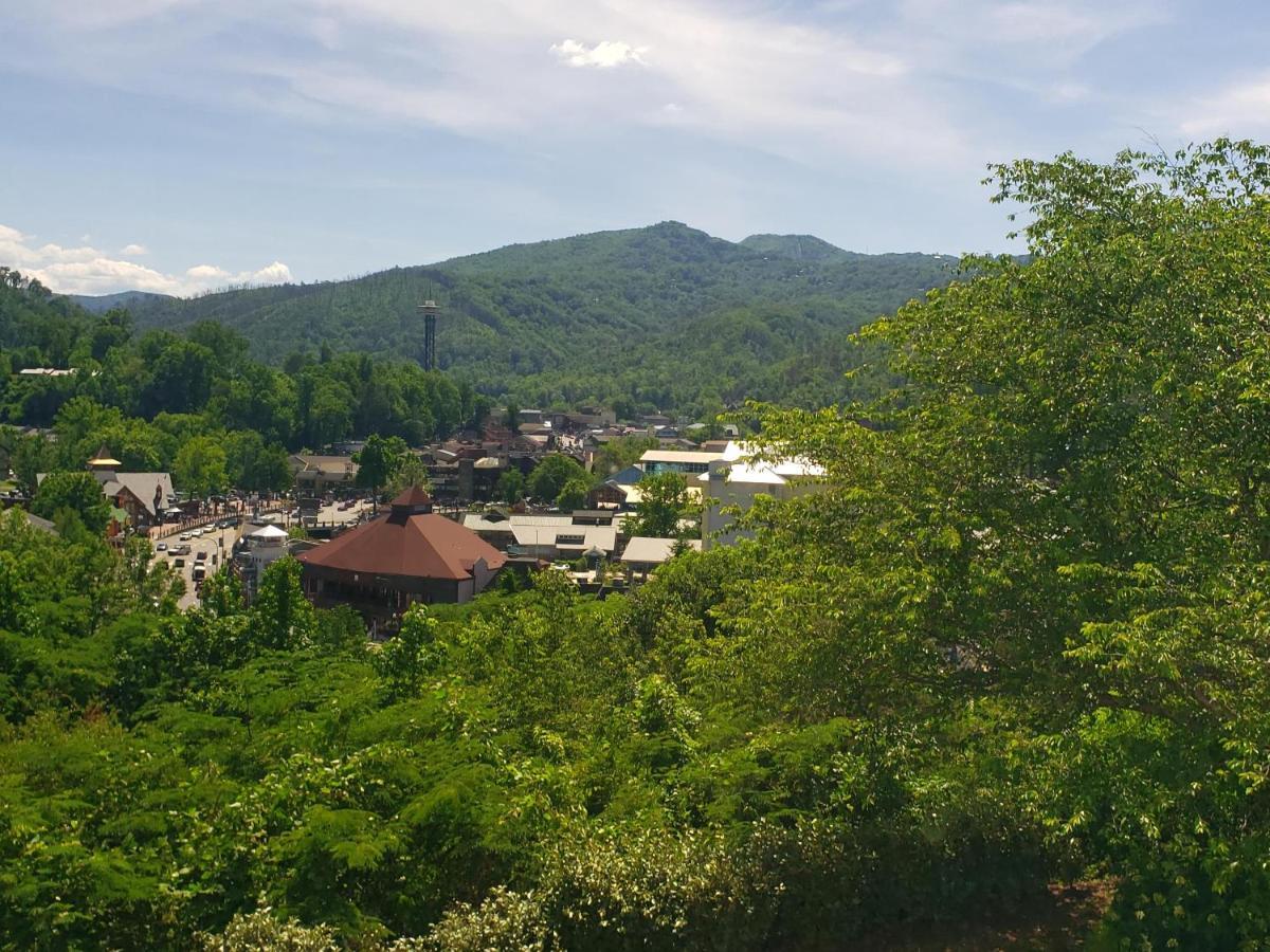 Chateau 105 Apartment Gatlinburg