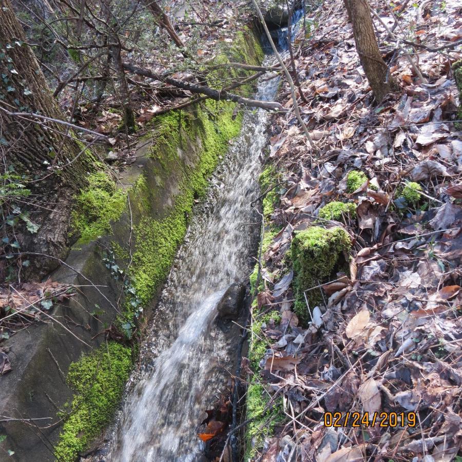 Mountain Springs * Gatlinburg