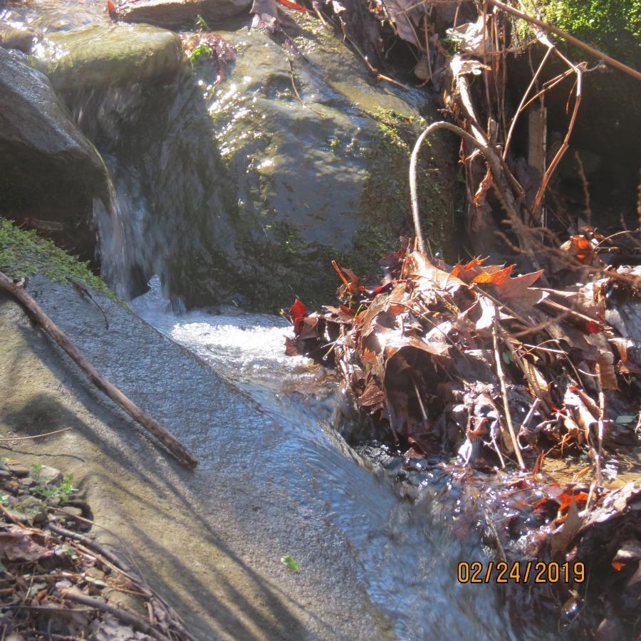Mountain Springs *