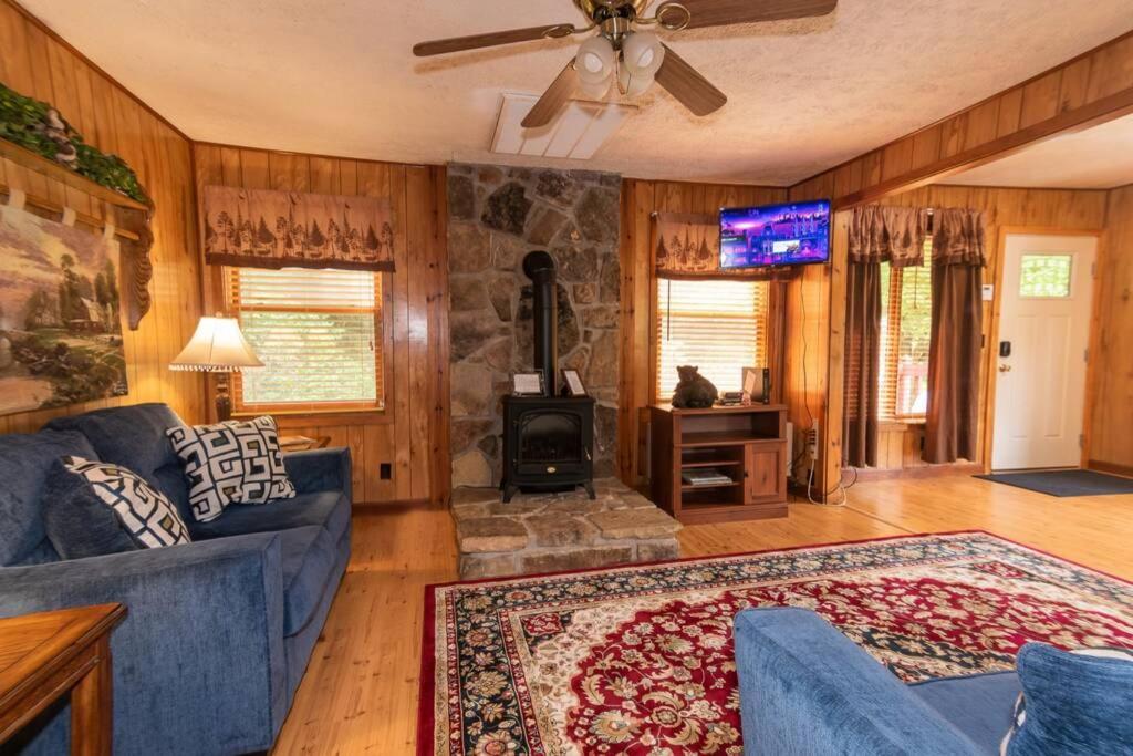 Beary Wild Cabin In The Smokies Holiday home