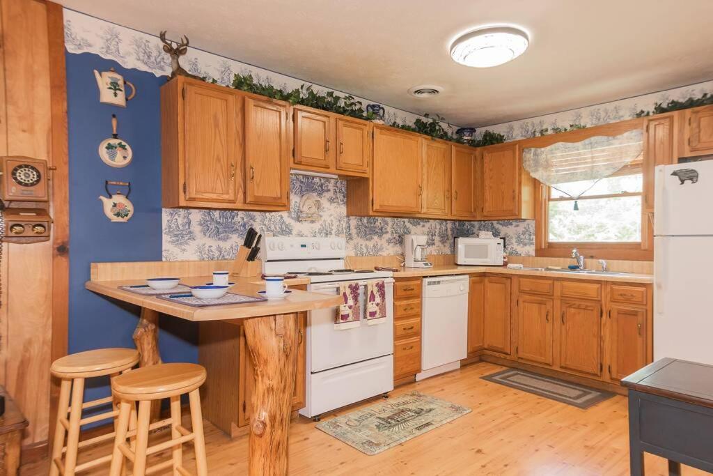 Beary Wild Cabin In The Smokies Holiday home *
