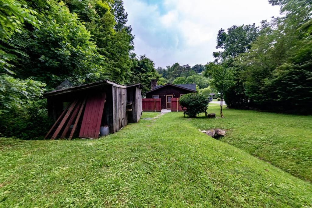 Beary Wild Cabin In The Smokies Gatlinburg