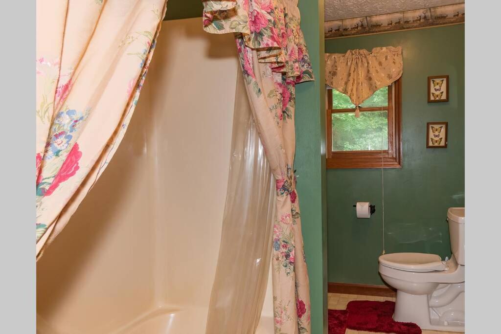Beary Wild Cabin In The Smokies Holiday home Gatlinburg