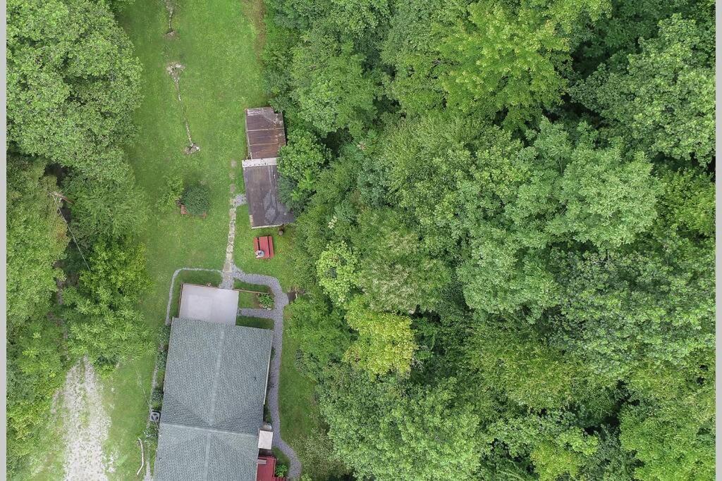 Holiday home Beary Wild Cabin In The Smokies *