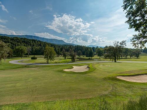 Nana's Retreat, 2 Bedrooms, Pool, Golf, Pet Friendly, Sleeps 6 * Gatlinburg