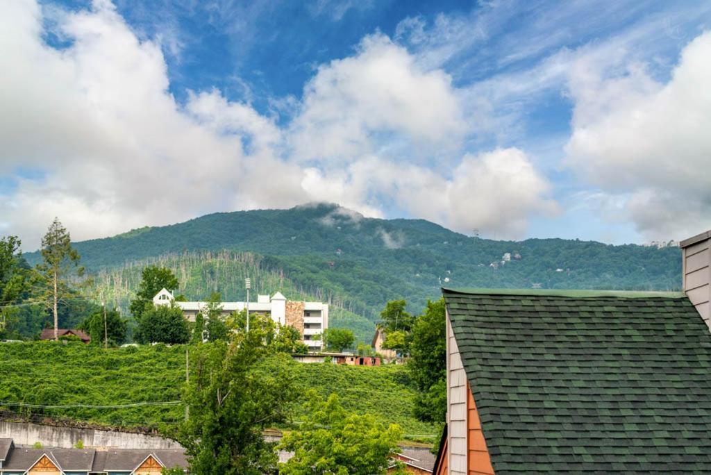 Peaceful Downtown - 10 Mins Walk To Main Strip Apartment *