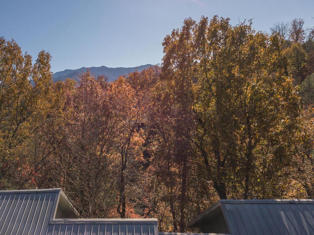 Holiday home Sasquatch A Sleeps 12 *