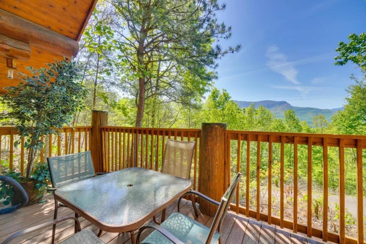 Leconte Views *