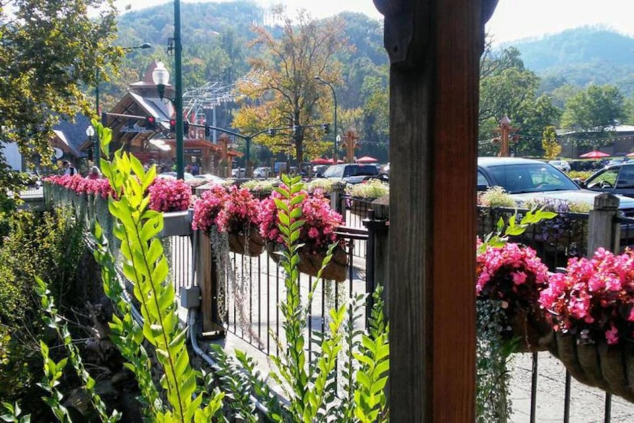 Lofts 207 New Update Heart Of Downtown * Gatlinburg