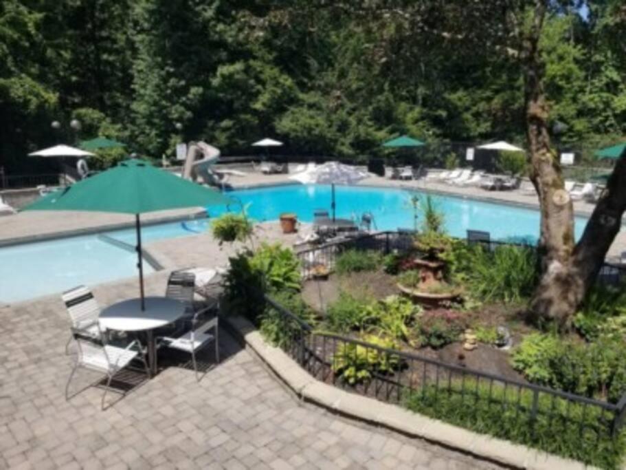 Mountain Springs Chalet *