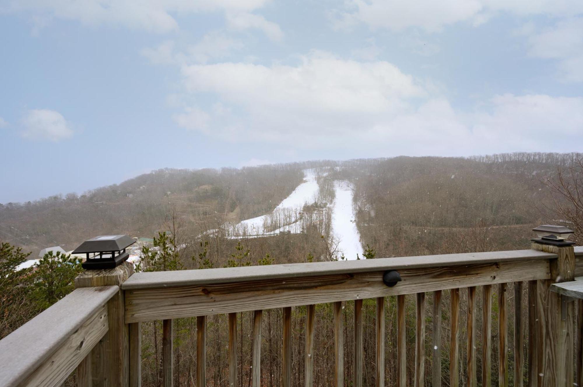 Bears On Skis Gatlinburg