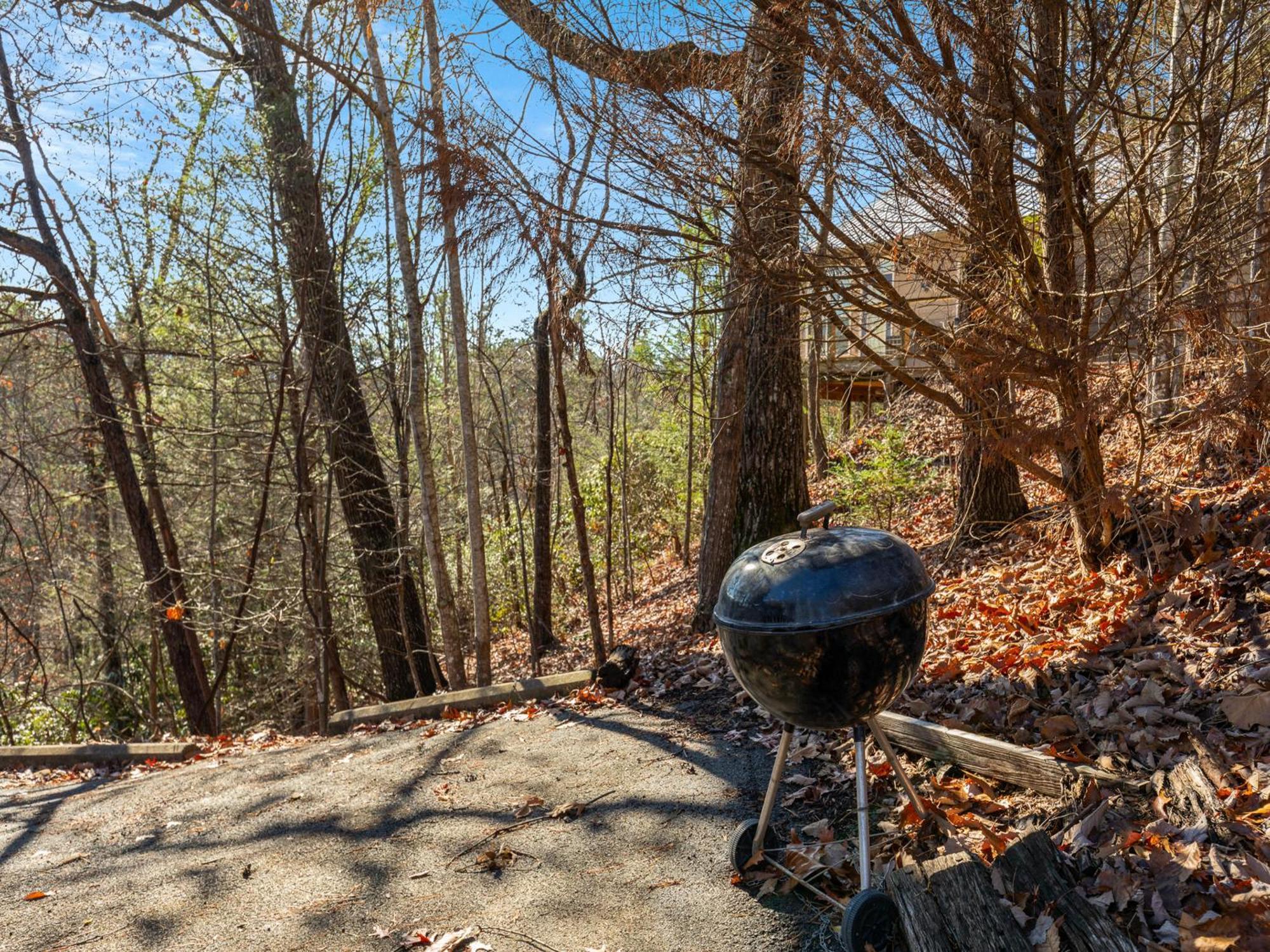 Little Bear Lookout Holiday home