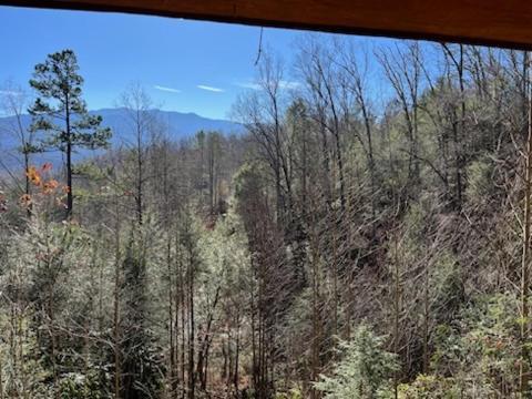 Holiday home Rocky Top Lodge, 6 Bedrooms, Pool Access, Hot Tub, Mountain View, Sleeps 14