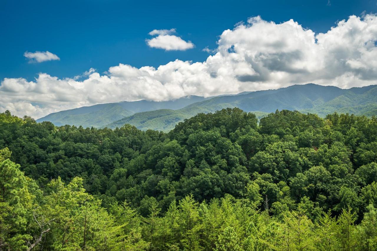 The Perfect Tenn By Stony Brook Holiday home Gatlinburg
