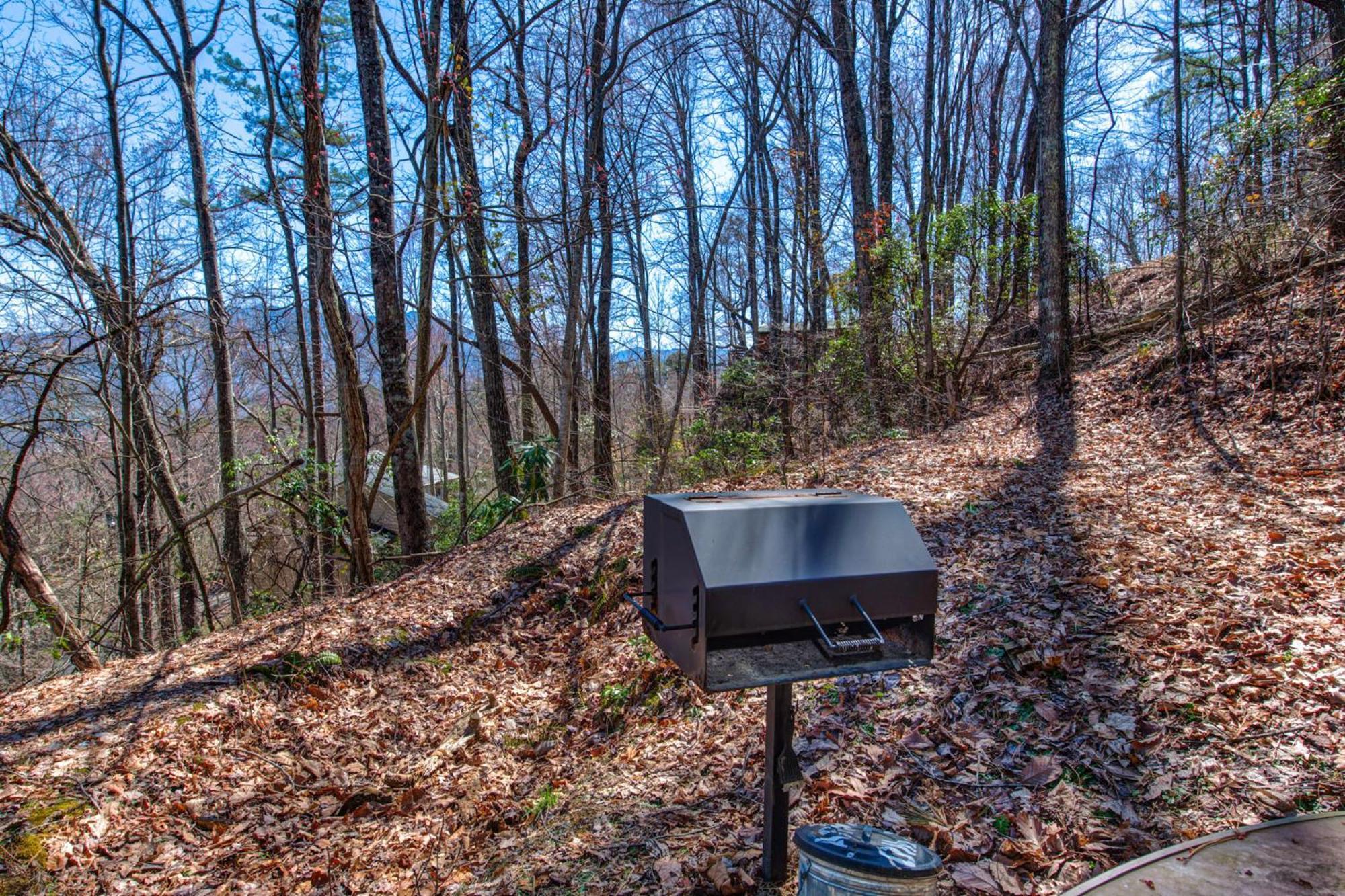 Lights By Stony Brook * Gatlinburg
