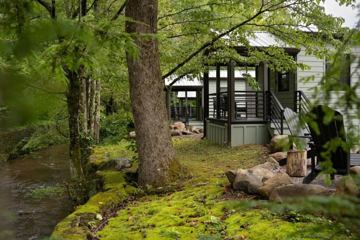 Creekside Modern Tiny - Firepit - Racoon Holiday home