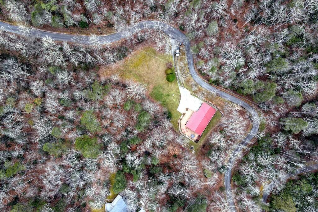 Shiner's Hollow