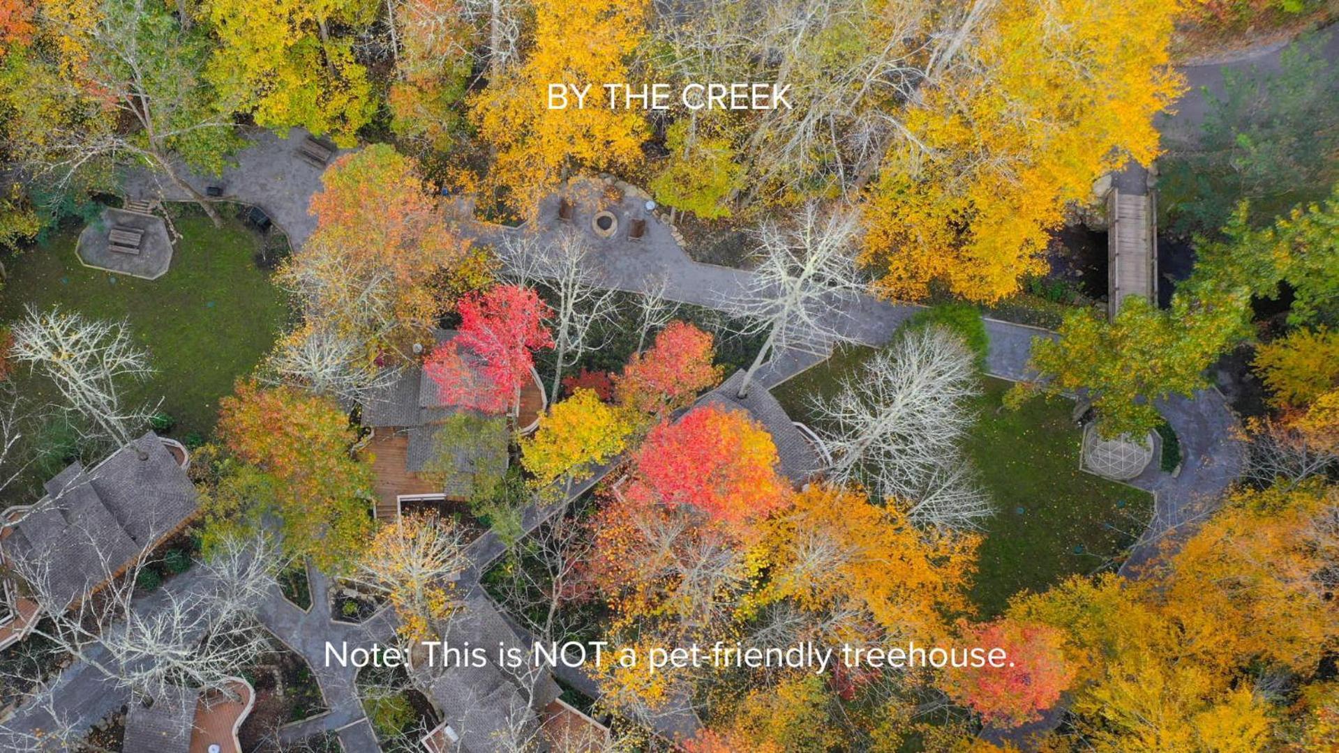 The Poplar In Treehouse Grove At Norton Creek * Gatlinburg