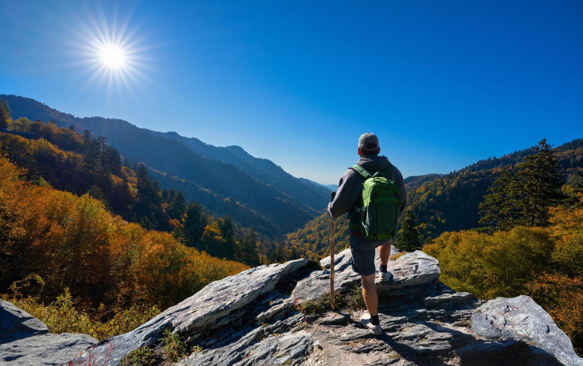 Great Smoky View, Panoramic View, 1089 Of Free Tickets For Each Paid Day, Dollywood And