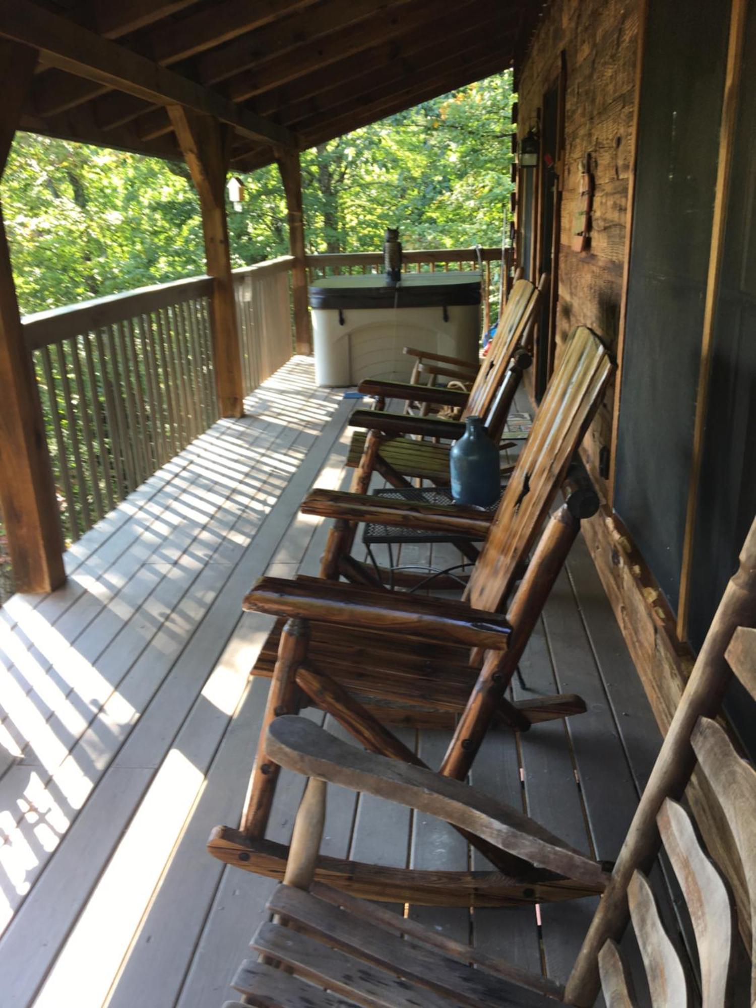Bears Among Us * Gatlinburg