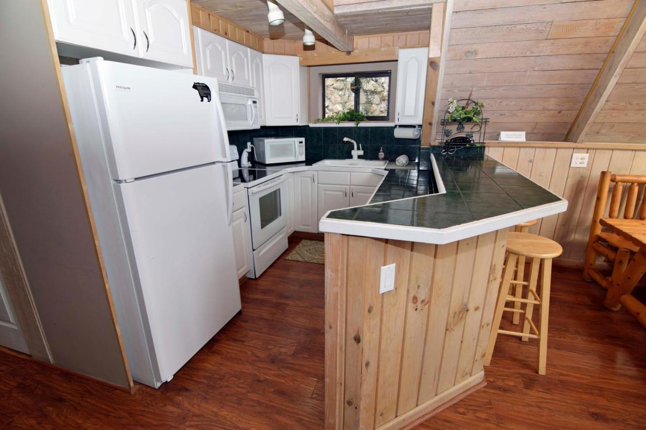 1125 Bear Ridge 4 Bedroom Cabin Holiday home *
